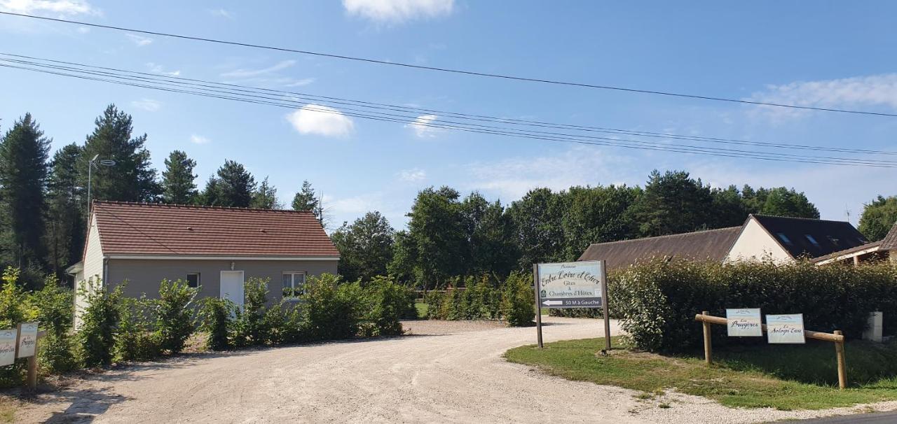 Entre Loire Et Cher "Les Bruyeres" Gite & Spa Privatif Tour-en-Sologne Kültér fotó